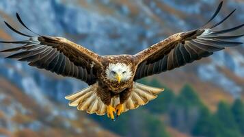 aquila liberamente volante sotto il luce del sole e blu cielo. predatore uccello a caccia nel safari est Africa concetto di ai generato foto