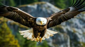 aquila liberamente volante sotto il luce del sole e blu cielo. predatore uccello a caccia nel safari est Africa concetto di ai generato foto