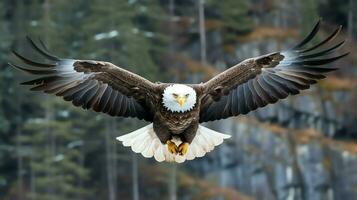 aquila liberamente volante sotto il luce del sole e blu cielo. predatore uccello a caccia nel safari est Africa concetto di ai generato foto