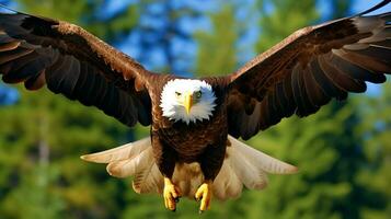 aquila liberamente volante sotto il luce del sole e blu cielo. predatore uccello a caccia nel safari est Africa concetto di ai generato foto