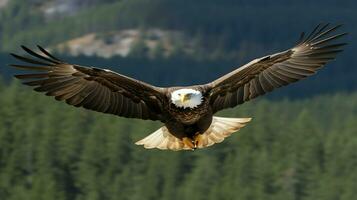 aquila liberamente volante sotto il luce del sole e blu cielo. predatore uccello a caccia nel safari est Africa concetto di ai generato foto