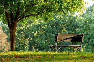 una panchina al parco. foto