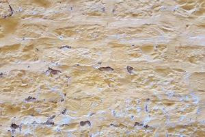 vernice crepa muro di cemento texture di sfondo. foto