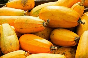 arancia hokkaido zucca cucurbita maxima per un' zuppa di zucca foto