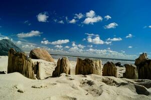 impressioni di il infinito spiaggia a il settentrionale mare nel blavanda Danimarca foto