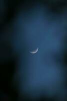 maestoso notte cielo illuminato di Luna foto