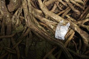 sacchetto di plastica messo sulla radice dell'albero foto