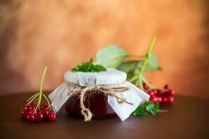 Viburnum marmellata nel un' bicchiere vaso e fresco rosso viburno. foto