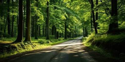 ai generato. ai generativo. all'aperto natura avventura foresta camminare sentiero strada avventure sfondo. grafico arte foto