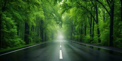 ai generato. ai generativo. all'aperto natura landsacpe foresta albero strada autostrada sentiero paesaggio sfondo. grafico arte foto