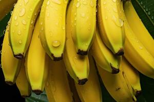 fresco banane frutta sospeso su ramo, ai generato foto