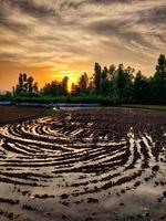 tramonto in kashmir foto