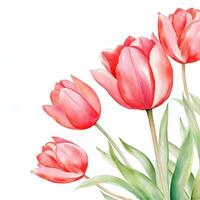 acquerello tulipano sfondo isolato foto