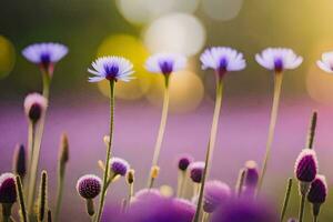 viola fiori nel un' campo con un' sfocato sfondo. ai-generato foto