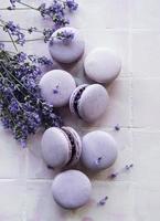 macarons francesi al gusto di lavanda e fiori di lavanda freschi foto
