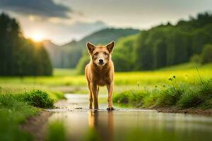 un' cane a piedi lungo un' sentiero nel il erba. ai-generato foto