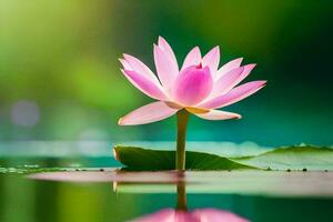 un' rosa loto fiore è galleggiante nel il acqua. ai-generato foto