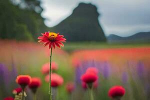 un' rosso fiore sta su nel un' campo di viola fiori. ai-generato foto