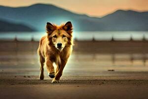 un' cane in esecuzione su il spiaggia a tramonto. ai-generato foto