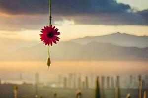 un' rosso fiore sospeso a partire dal un' corda nel davanti di un' città. ai-generato foto