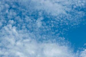 strato nuvole sfondo nel blu cielo. tempo metereologico e cumulo nube durante il giorno foto