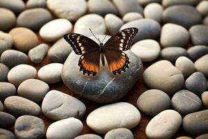 farfalla su terme massaggio pietre nel il zen giardino. generativo ai foto