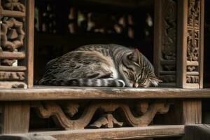 un' studioso gatto sonnecchiare nel un arco, circondato di sumi-e dettagli di antico reticolo legna e pietra. generativo ai foto