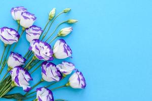 un bouquet di bellissimi eustomi viola appena tagliati foto