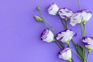 un bouquet di bellissimi eustomi viola appena tagliati foto