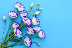 un bouquet di bellissimi eustomi viola appena tagliati foto