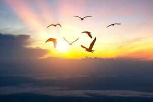 concetto di la libertà uccello sagome nel il sera cielo foto