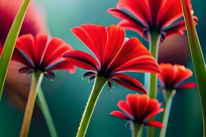 rosso fiori siamo nel un' campo di verde erba. ai-generato foto