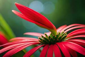 un' rosso fiore con un' verde stelo. ai-generato foto