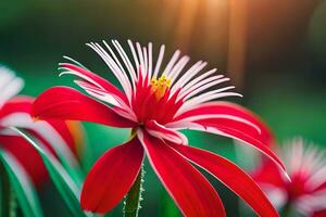 rosso e bianca fiori con il sole splendente attraverso. ai-generato foto