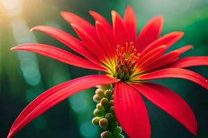 un' rosso fiore è mostrato nel davanti di un' verde sfondo. ai-generato foto