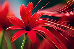 un' rosso fiore con lungo petali e un' lungo stelo. ai-generato foto