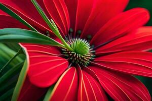 un' vicino su di un' rosso fiore con verde le foglie. ai-generato foto