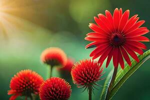 rosso fiori con sole splendente nel il sfondo. ai-generato foto