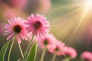 rosa fiori con raggi di sole splendente attraverso loro. ai-generato foto