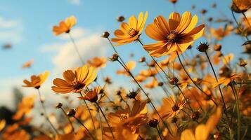 giallo fiori nel un' campo con blu cielo ai generativo foto