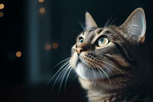 giocoso gatto Perfetto viso e occhi altamente dettagliato ai generativo foto