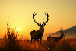 nel un' panoramico prato, un' cervo silhouette simboleggia natura conservazione ai generato foto