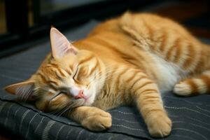 adorabile gatto pisolini su il tappeto, simboleggiante universale animale domestico amore ai generato foto