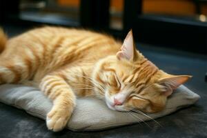 adorabile gatto pisolini su il tappeto, simboleggiante universale animale domestico amore ai generato foto
