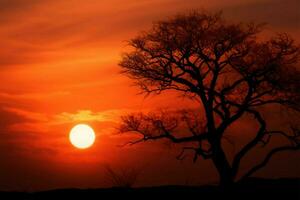 tranquillo, calmo tramonto piccolo sole, silhouette albero, tranquillo natura, astratto sfondo ai generato foto