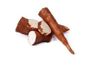 manioca isolato su uno sfondo bianco foto