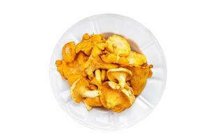 gallinacci funghi gustoso fungo fresco cibo merenda su il tavolo copia spazio cibo sfondo rustico superiore Visualizza foto
