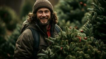 la scelta un' localmente cresciuto albero per un' Di Più sostenibile Natale celebrazione foto