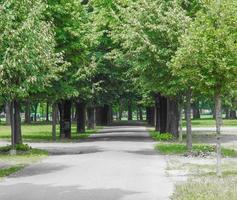 dalla chiesa park a collegno foto