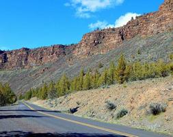 primavera nel canyon canyon del fiume storto vicino a prineville o foto